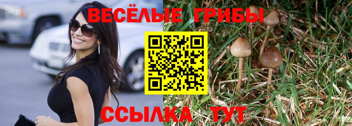 Псилоцибиновые грибы Magic Shrooms Архангельск